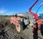2017 Skyjack SJ643TH Forklift