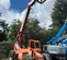 2015 SKYTRAK 6042 Forklift